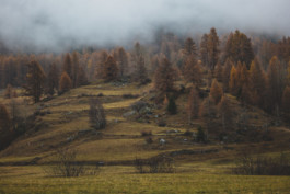 MΛRKUS EDGΛR RUF